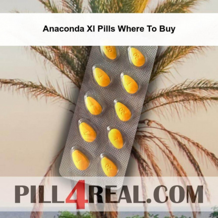 Anaconda Xl Pills Where To Buy 743