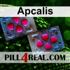 Apcalis 282