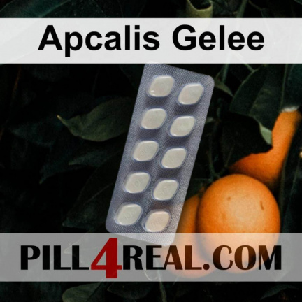 Apcalis Gelee 117