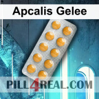 Apcalis Gelee 163