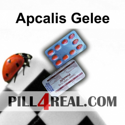 Apcalis Gelee 526