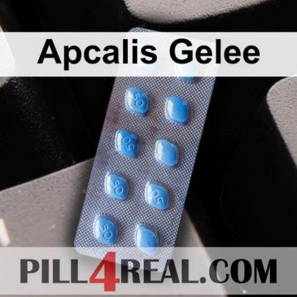 Apcalis Gelee 531