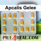 Apcalis Gelee 877
