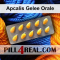 Apcalis Gelee Orale 105
