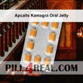Apcalis Kamagra Oral Jelly 114