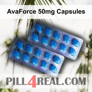 AvaForce 50mg Capsules 941