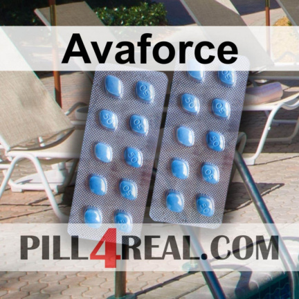 Avaforce 049