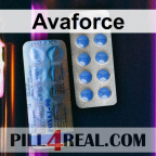 Avaforce 244