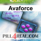 Avaforce 282