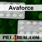 Avaforce 545