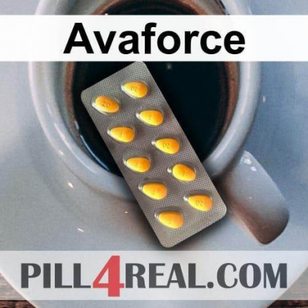 Avaforce 561