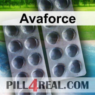 Avaforce 606