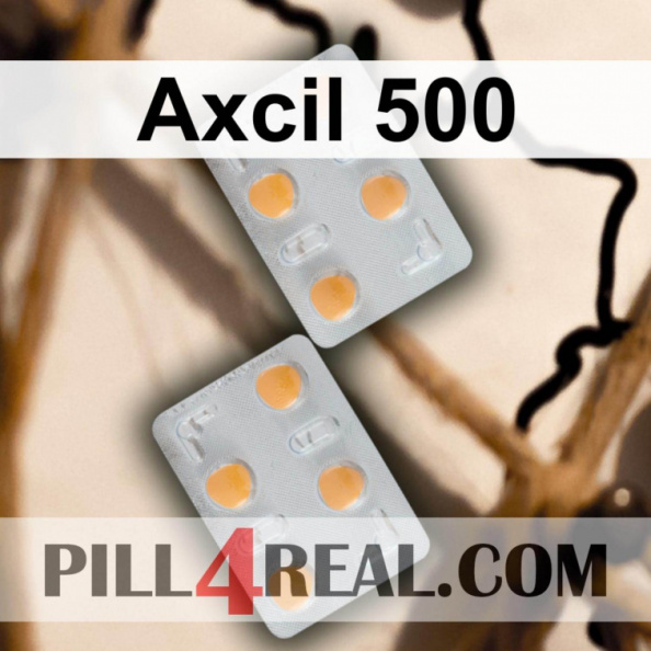 Axcil 500 149