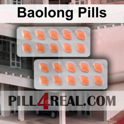 Baolong Pills 281