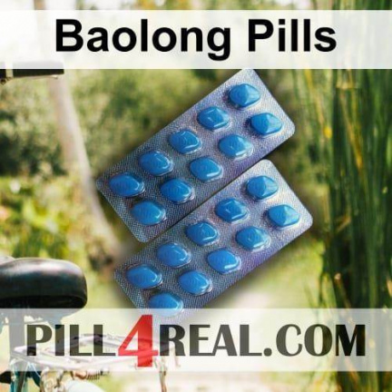 Baolong Pills 496