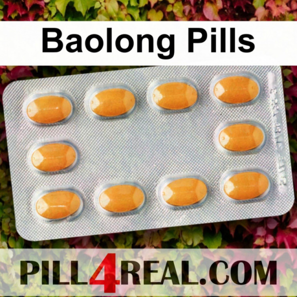 Baolong Pills 816