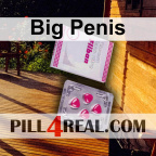 Big Penis 128