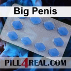 Big Penis 293