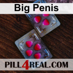 Big Penis 312