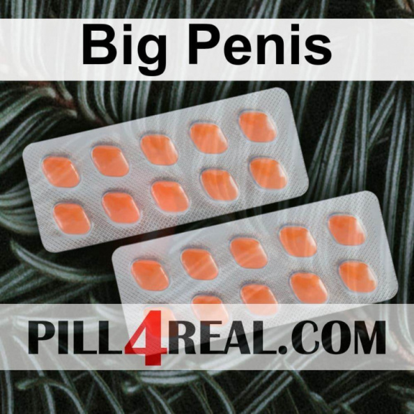 Big Penis 346