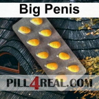 Big Penis 425