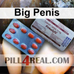 Big Penis 470