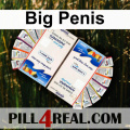 Big Penis 574