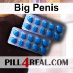 Big Penis 632