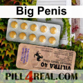 Big Penis 641