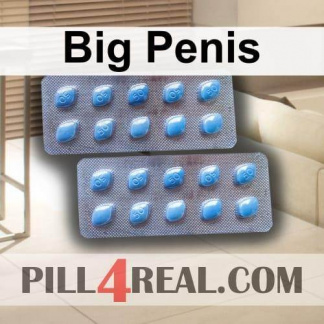 Big Penis 663