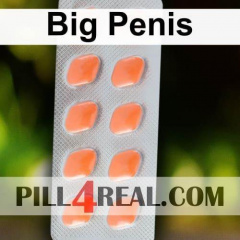 Big Penis 665