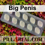 Big Penis 754