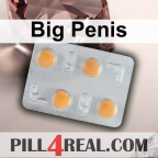 Big Penis 763