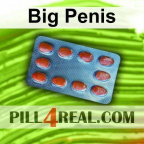 Big Penis 876