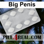 Big Penis 894