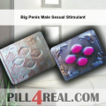 Big Penis Male Sexual Stimulant 032