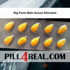 Big Penis Male Sexual Stimulant 062