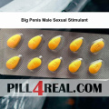 Big Penis Male Sexual Stimulant 062