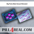Big Penis Male Sexual Stimulant 117