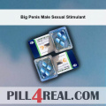Big Penis Male Sexual Stimulant 125