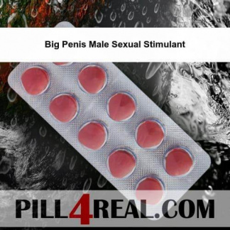 Big Penis Male Sexual Stimulant 238