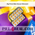 Big Penis Male Sexual Stimulant 518