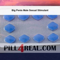 Big Penis Male Sexual Stimulant 580