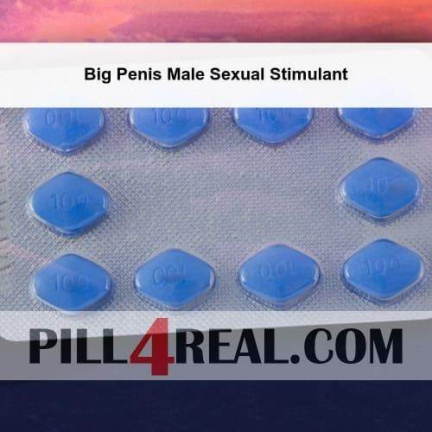 Big Penis Male Sexual Stimulant 580