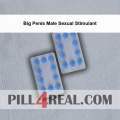 Big Penis Male Sexual Stimulant 611