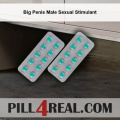 Big Penis Male Sexual Stimulant 775