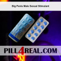 Big Penis Male Sexual Stimulant 937