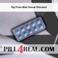 Big Penis Male Sexual Stimulant 963