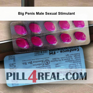 Big Penis Male Sexual Stimulant 970