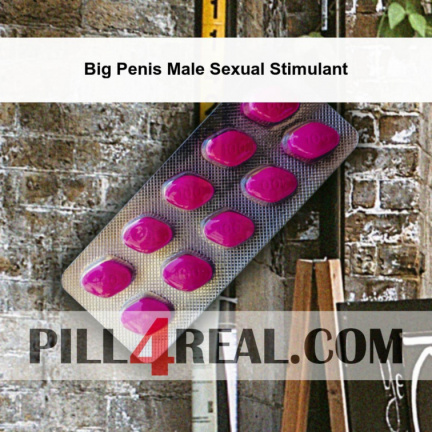 Big Penis Male Sexual Stimulant 989